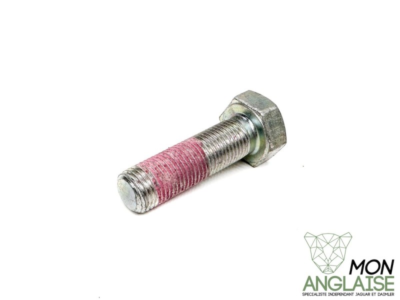 Boulon berceau arrière à support de pont Jaguar XK8 de 1996 à 1996 Référence OE : SH212401MJ
