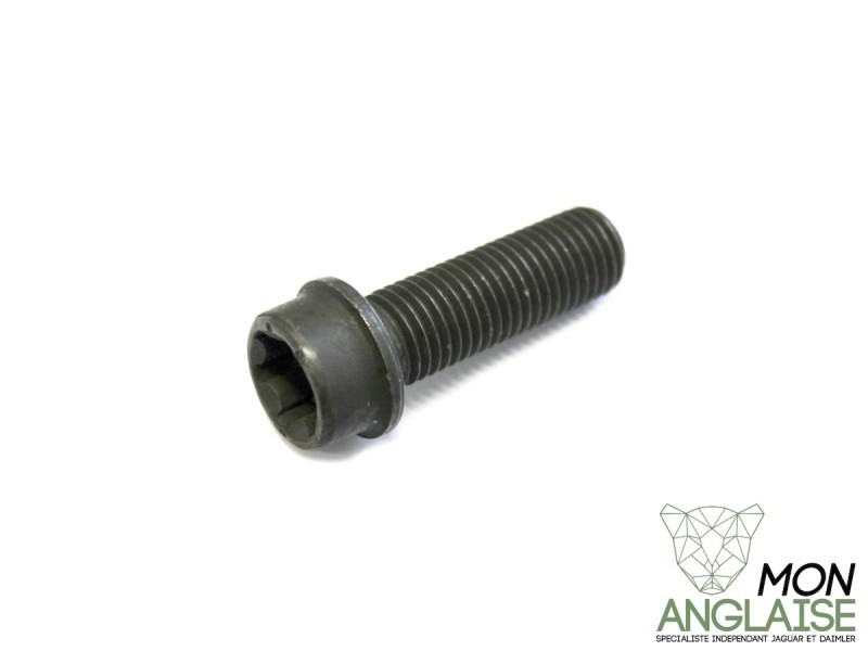 Vis de poulie d'arbre à came M12 X 38MM Jaguar XK8 de 1999 à 2006 Référence OE : AJ83900
