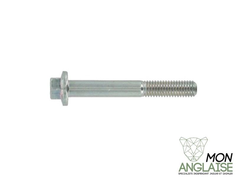 Vis de fixation de vanne EGR M6 x 45mm Jaguar XK8 de 1996 à 2006 Référence OE : AJ82190