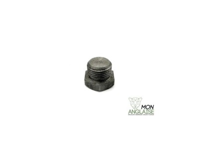 Bouchon obturation catalyseur lambda Jaguar XK8 de 1996 à 2002 Référence OE : XR813494