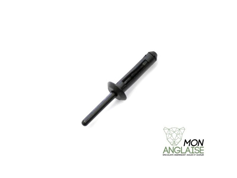 Rivet à vis Jaguar XK8 de 1996 à 2006 Référence OE : KRA106001
