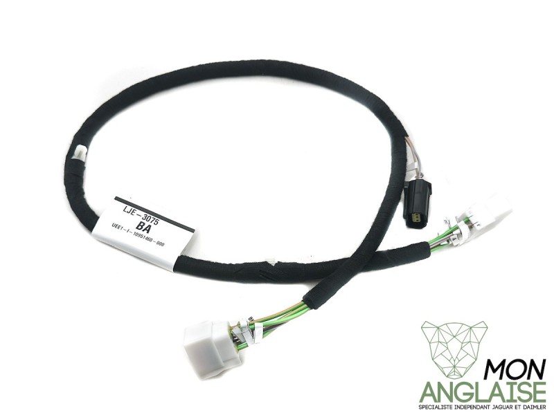 Câble de connexion réservoir à carburant Jaguar XK8 de 2001 à 2002 Référence OE : LJE3075BA
