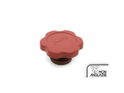 Bouchon de remplissage d'huile Jaguar XJ8 de 1998 à 2002