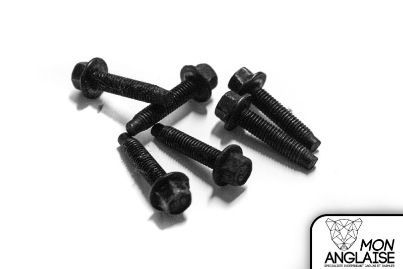 6 Vis hexagonale (pour AJ89679 et AJ84151) Jaguar XJ8 de 1998 à 2002