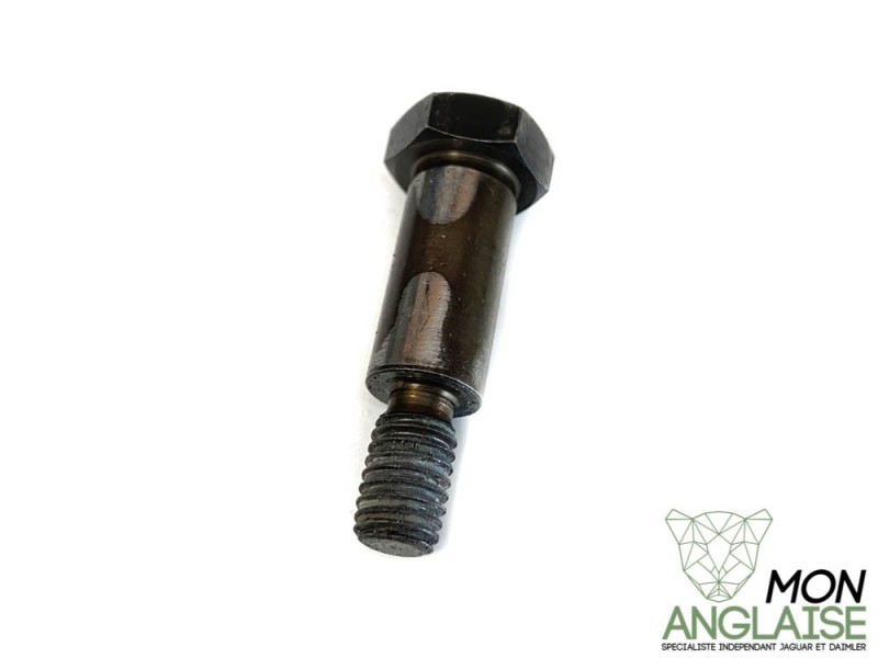 Boulon de lame tendeur de chaîne de distribution Jaguar XJ8 de 1998 à