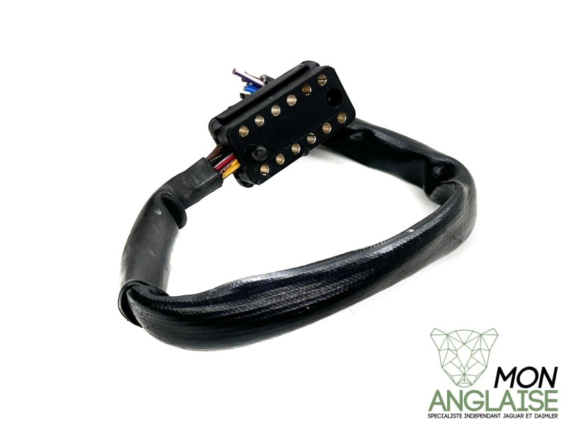 Broche module ABS Jaguar XJ40 de 1986 à 1989