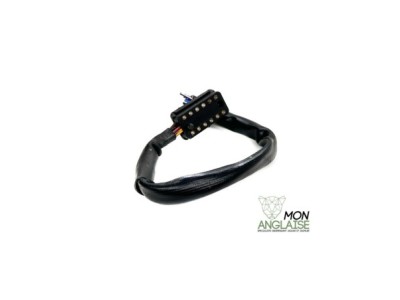 Broche module ABS Jaguar XJ40 de 1986 à 1989
