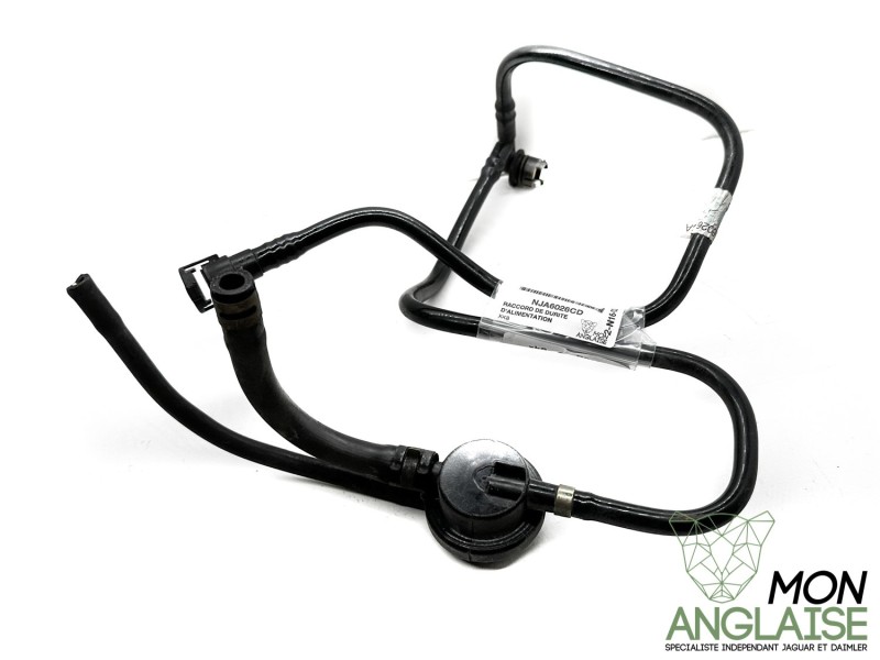 Raccord de durite d'alimentation Jaguar XK8 de 1997 à 2006