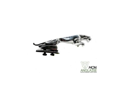 Leaper de capot Jaguar fixe Jaguar XK8 de 1997 à 2006