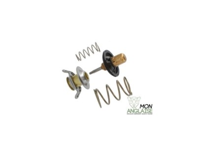 Thermostat Jaguar XJ X350 de 2003 à 2005 Référence OE : AJ82697