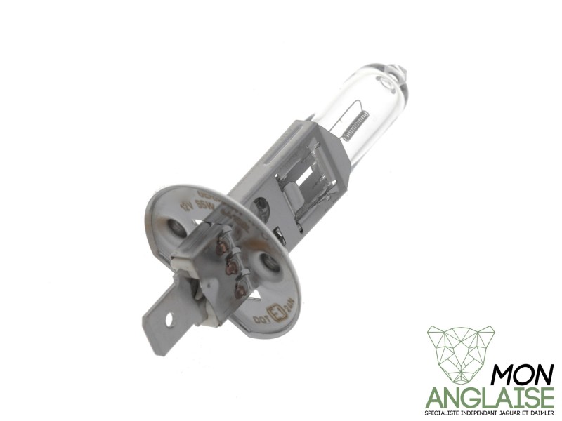 Ampoule halogène H1 55W Jaguar XK8 de 1996 à 2006 Référence OE : XR851816