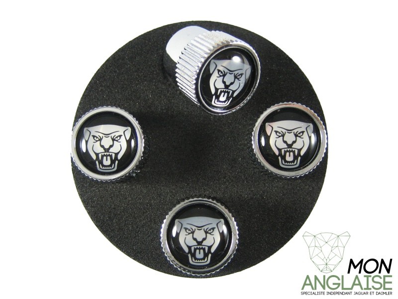 Bouchon de valve grognard Jaguar XJ40 de 1986 à 1994 Référence OE : C2D60778