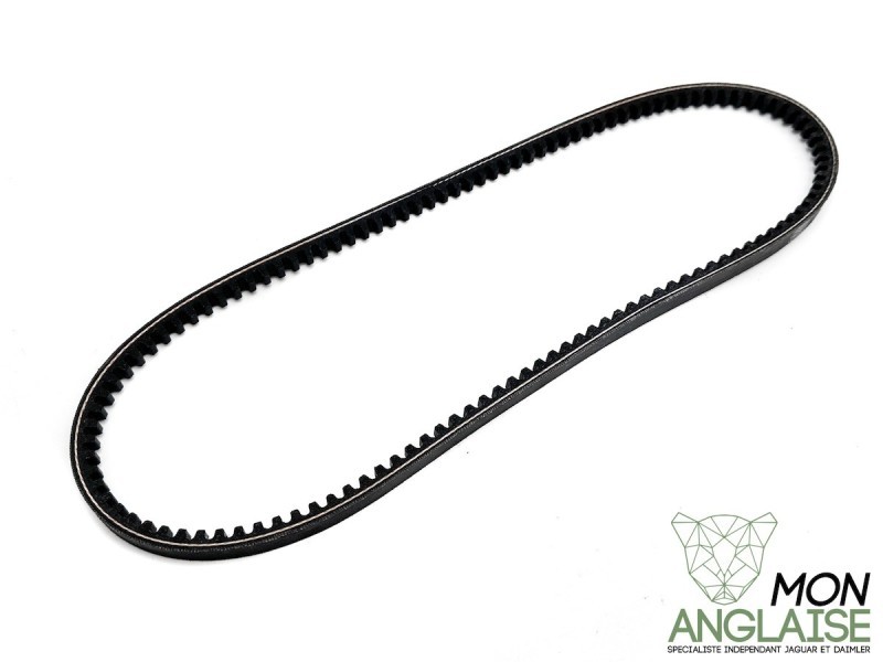 Courroie d'alternateur 850mm Jaguar XJS de 1987 à 1991