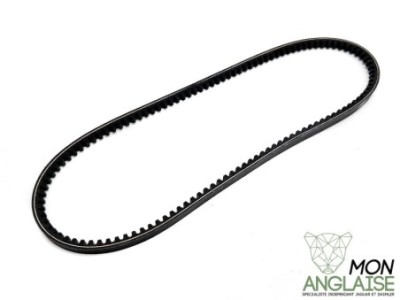 Courroie d'alternateur 850mm Jaguar XJS de 1987 à 1991