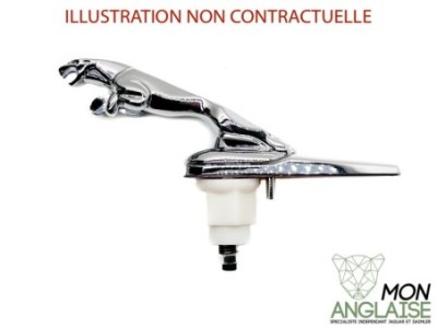 Leaper de capot Jaguar Jaguar XJ Série 2 de 1973 à 1979