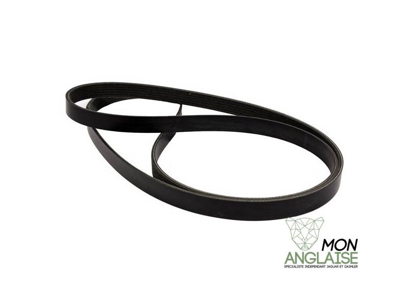 Courroie d'accessoires Jaguar XJ X350 de 2003 à 2009 Référence OE : C2C20642