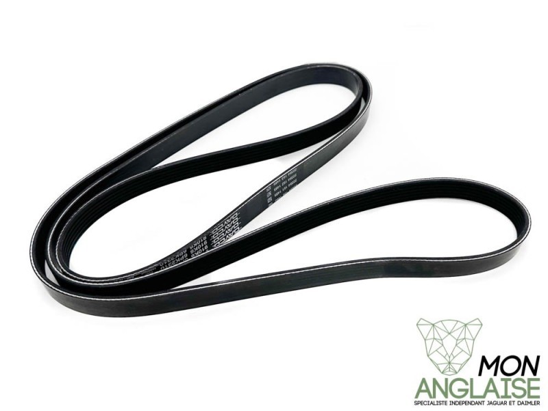 Courroie d'accessoires Jaguar S-Type de 2003 à 2008 Référence OE : C2C37063