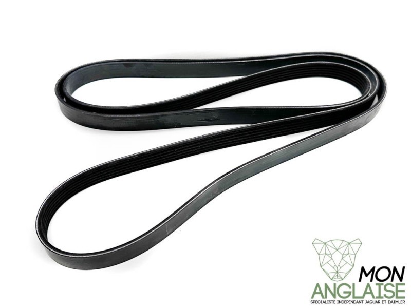 Courroie d'accessoires Jaguar X-Type de 2001 à 2009 Référence OE : C2S24900