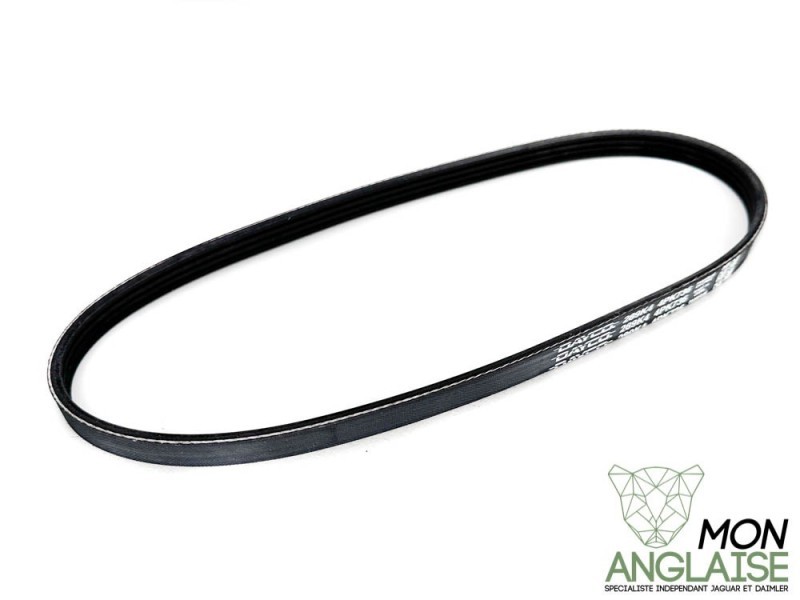 Courroie de direction assistée et pompe à eau Jaguar X-Type de 2001 à 2009 Référence OE : JD61137