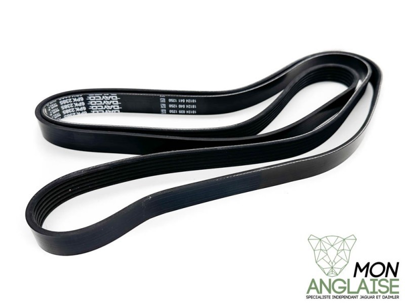 Courroie d'accessoires Jaguar S-Type de 1999 à 2002 Référence OE : XR830447