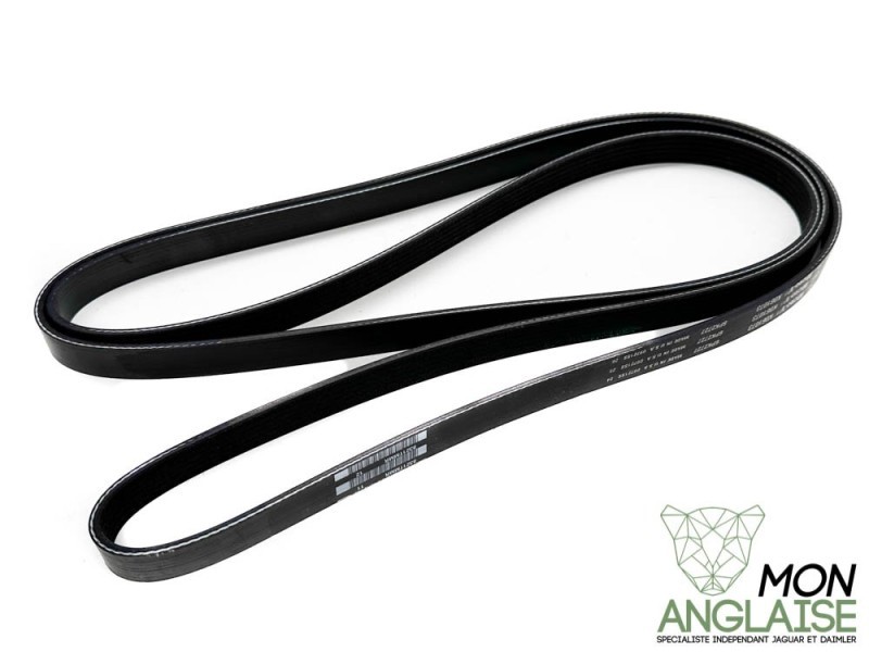 Courroie d'accessoires Jaguar S-Type de 2003 à 2008 Référence OE : XR858873