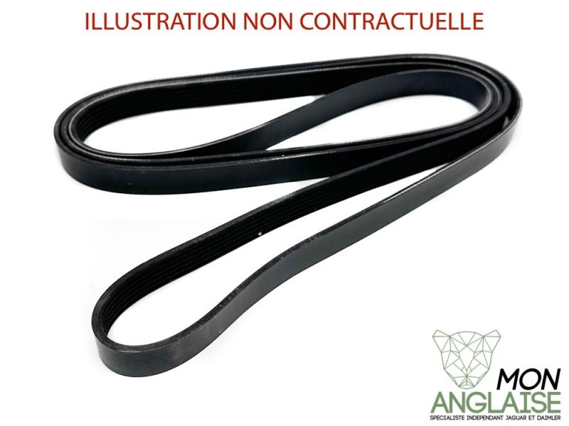 Courroie d'accessoires Jaguar S-Type de 2003 à 2003