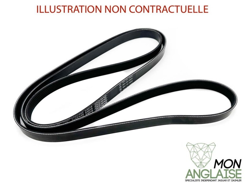 Courroie d'accessoires Jaguar XK8 de 2003 à 2006