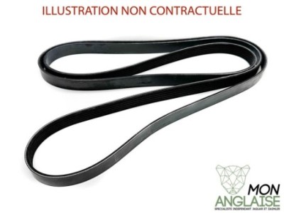 Courroie d'accessoires Jaguar X-Type de 2001 à 2009