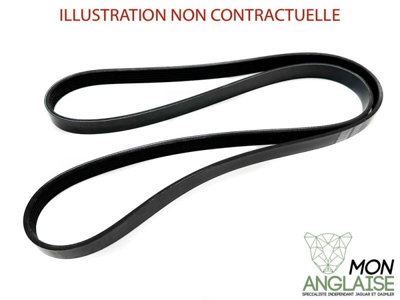 Courroie d'accessoires Jaguar X-Type de 2001 à 2009