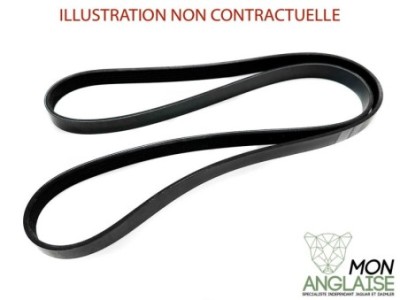 Courroie d'accessoires Jaguar X-Type de 2001 à 2009