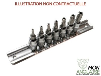 Douilles de sécurité TS TorX 5 branches Jaguar X-Type de 2001 à 2009