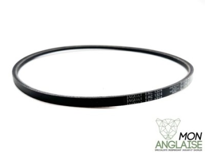 Courroie d'alternateur 887mm Jaguar XJ Série 2 de 1973 à 1979