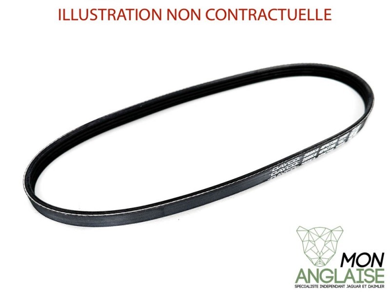 Courroie de direction assistée et pompe à eau Jaguar X-Type de 2001 à