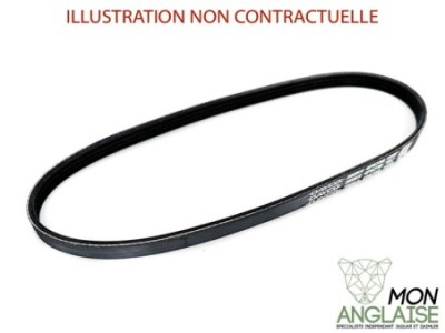 Courroie de direction assistée et pompe à eau Jaguar X-Type de 2001 à