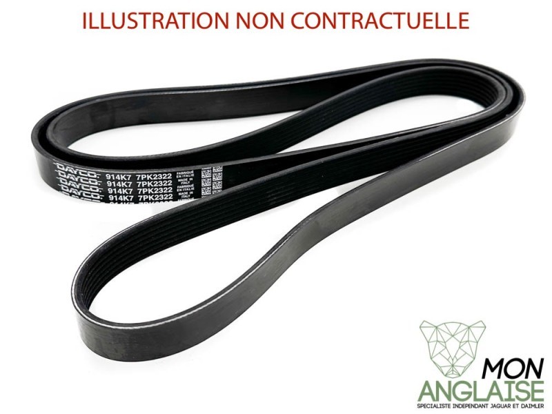 Courroie d'accessoires Jaguar XJ8 de 1998 à 1999