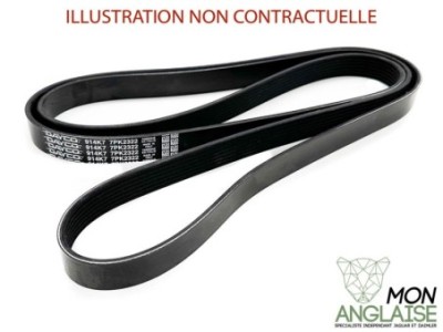 Courroie d'accessoires Jaguar XJ8 de 1998 à 1999