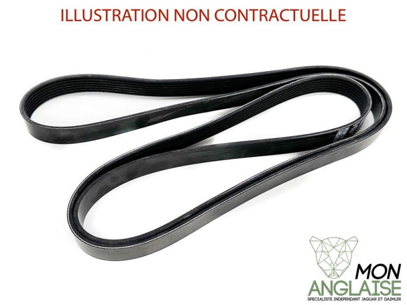 Courroie d'accessoires Jaguar XJ8 de 1999 à 2002