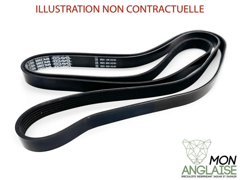 Courroie d'accessoires Jaguar S-Type de 1999 à 2002