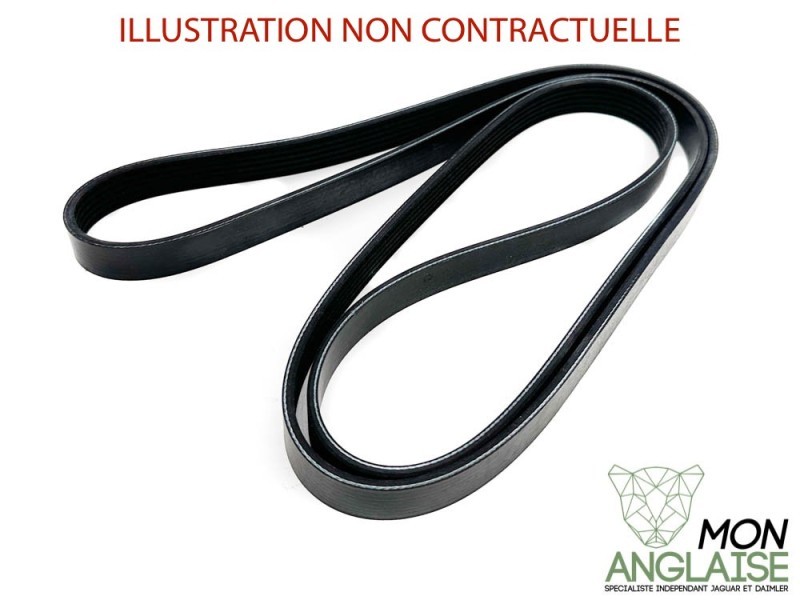 Courroie d'accessoires Jaguar S-Type de 2004 à 2008