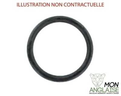 Bague de sortie d'eau Jaguar XJ X350 de 2003 à 2009