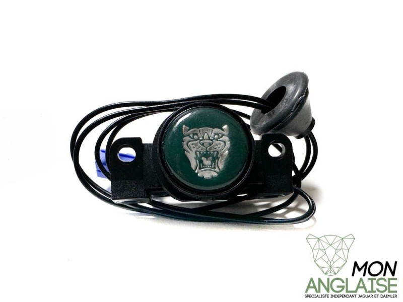 Bouton d'ouverture de coffre Jaguar Jaguar X-Type de 2001 à 2004 Référence OE : C2C31837